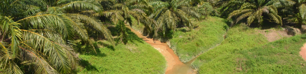 Sanitary Landfill 